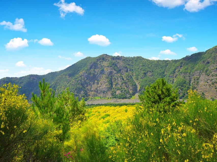From Naples: Vesuvius & Pompeii with Transfer & Audio Guide - Price and Value: Is $108.75 Fair for This Day?