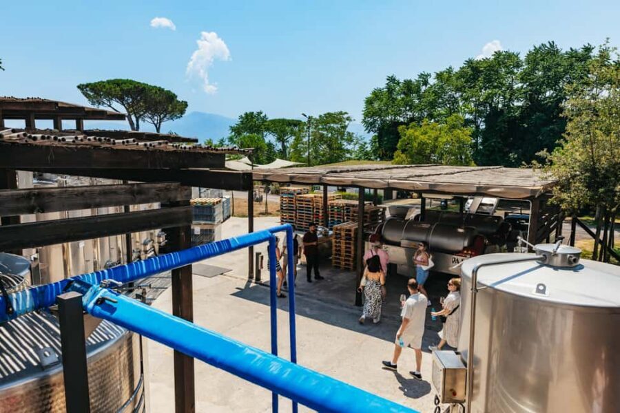 From Naples: Wine Tasting Tour on Vesuvius Slopes with Lunch - Mount Vesuvius vineyards: seeing volcanic viticulture up close