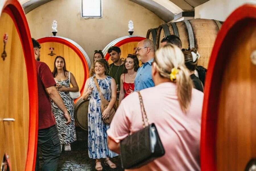 From Naples: Wine Tasting Tour on Vesuvius Slopes with Lunch - Lunch paired with Vesuvius wines: where the value really lands