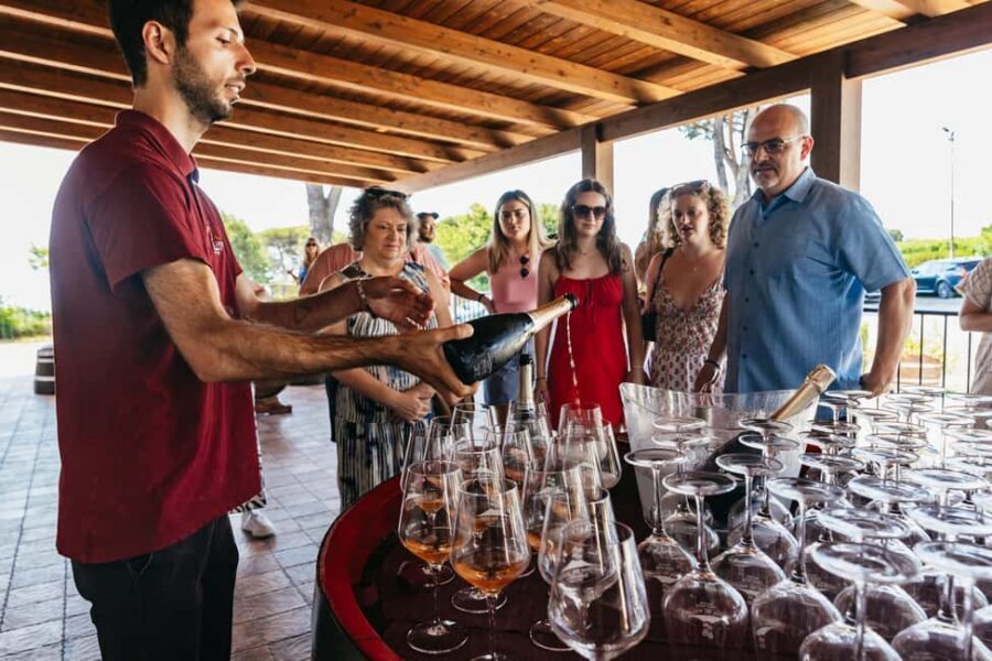 From Naples: Wine Tasting Tour on Vesuvius Slopes with Lunch - Farm store time: buying bottles and local products