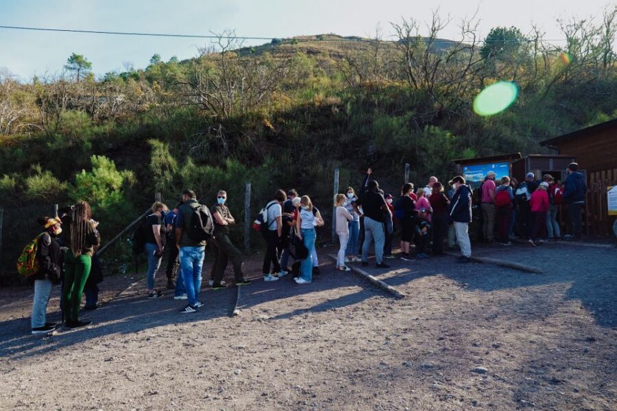 From Pompeii: Mount Vesuvius Guided Tour with Transfer - Crater time: peering in, then getting the science and story