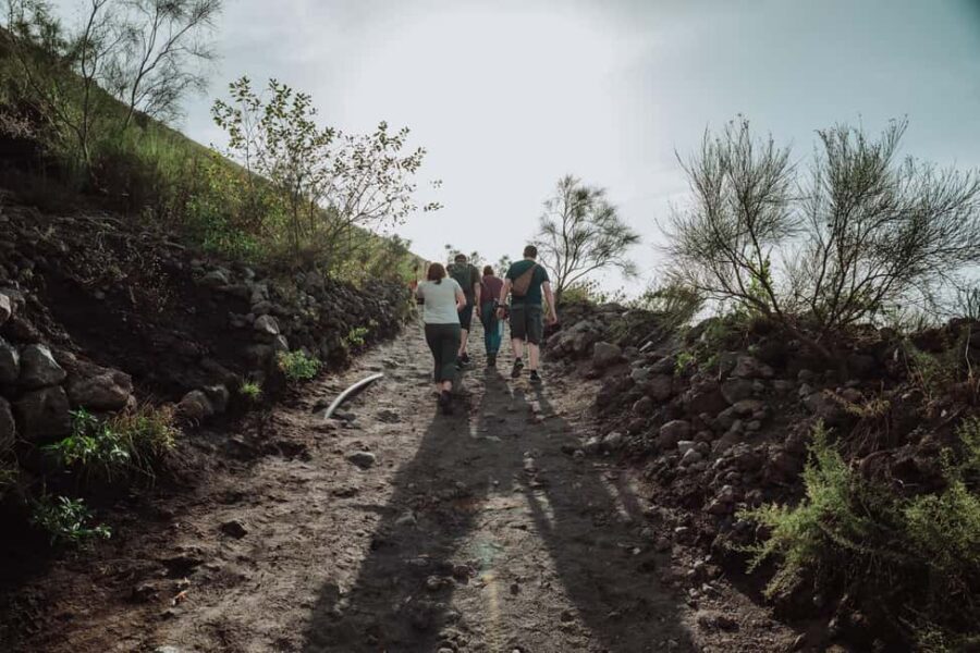 From Pompeii: Mount Vesuvius Guided Tour with Transfer - Small-group pacing and guide styles (Mario, Simona, Francesco, Stefan)