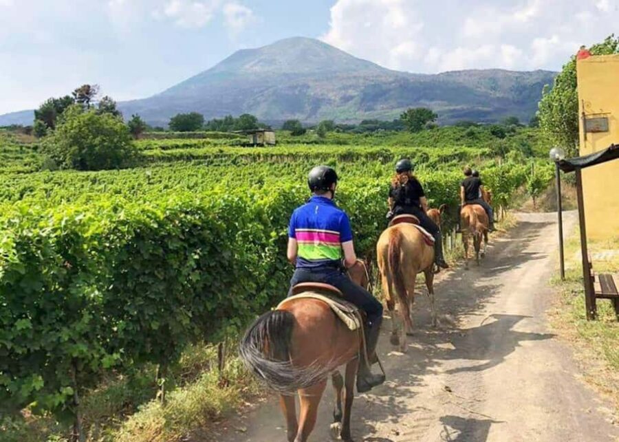 From Pompeii: Mount Vesuvius Horseback Riding Tour - Key Things To Know Before You Go
