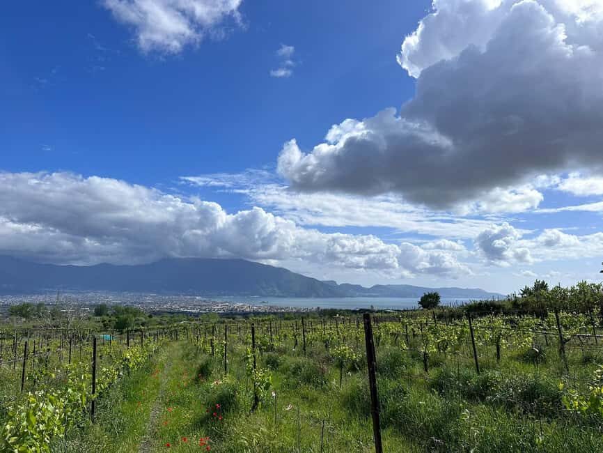 From Pompeii: Mount Vesuvius Horseback Riding Tour - The Ranch Intro: Animals First, Then Horses
