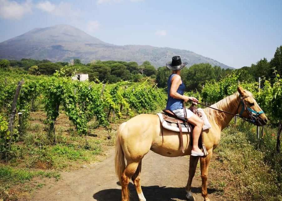 From Pompeii: Mount Vesuvius Horseback Riding Tour - Included vs. Not Included: What You Actually Pay For