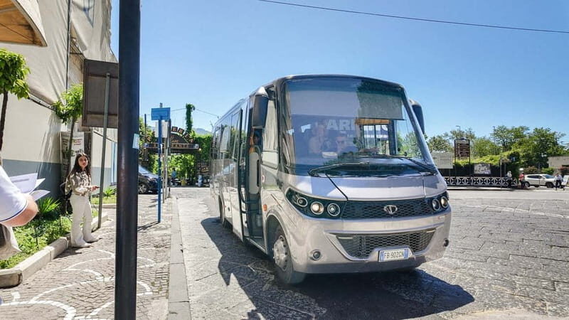 From Pompeii: Mount Vesuvius with bus, ticket and audioguide - Quick takes: what makes this tour work