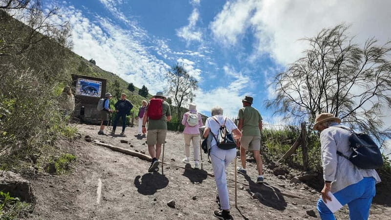 From Pompeii: Mount Vesuvius with bus, ticket and audioguide - Should you book this Pompeii to Vesuvius bus package?