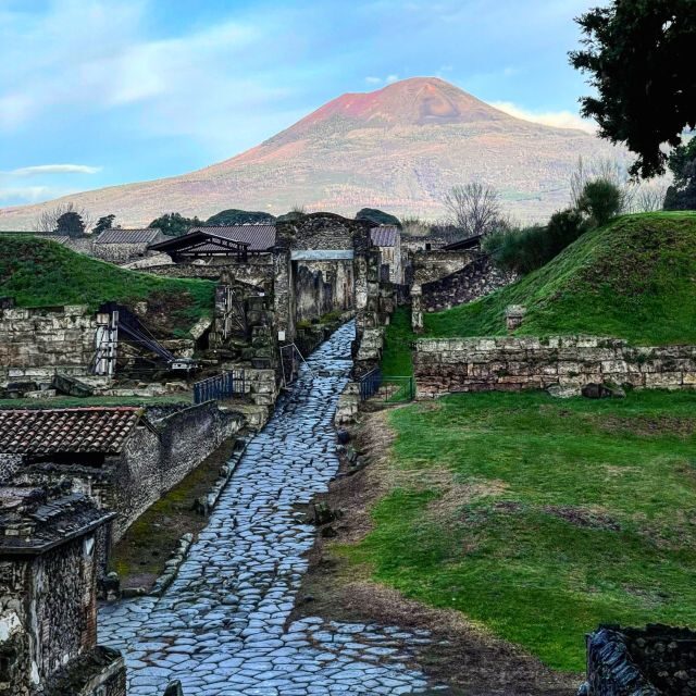 From Positano: Pompeii and Vesuvius Guided Tour - Price and value: is $223.28 per person a fair deal?