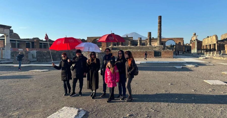 From Positano: Pompeii, Vesuvius, & Wine Tasting with Lunch - Price and Value: Is $294.65 Worth It?