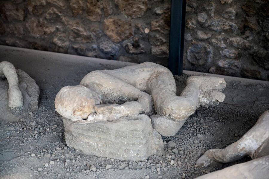 From Rome: Pompeii and Herculaneum by High-Speed Train - Your archaeologist guide and the “how” of the day