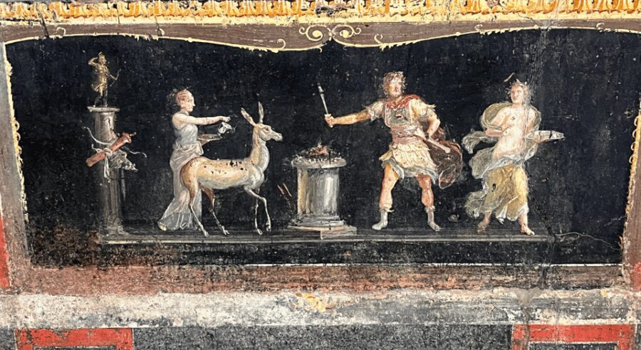 From Rome: Pompeii and Herculaneum Tour w/ High-speed Train - Herculaneum guided tour: ash and mud that preserved everyday life