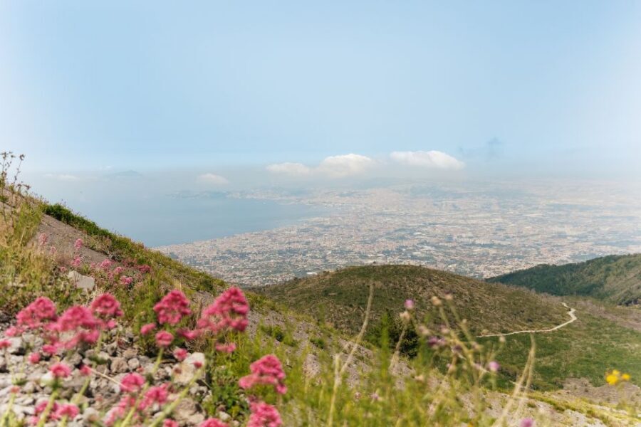From Rome: Pompeii Day Trip with Optional Vesuvius and Lunch - Weather, Strikes, and the Sorrento Backup Plan
