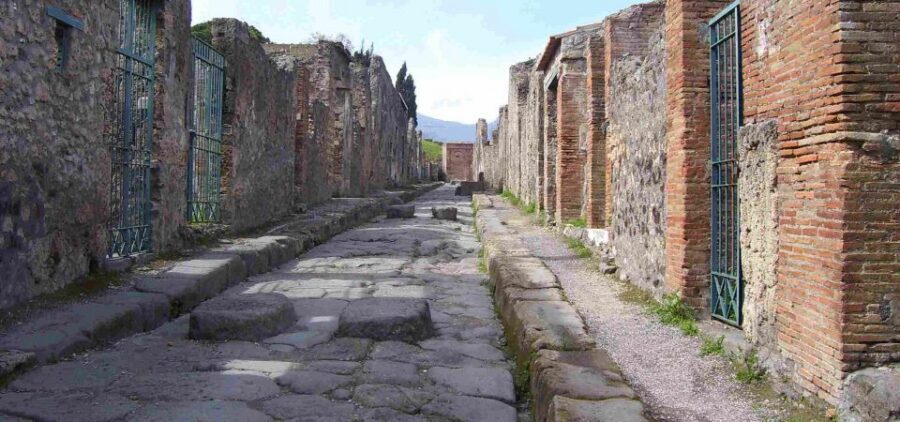 From Sorrento: Day Tour to Pompeii Ruins and Mount Vesuvius - Vesuvius: crater-lip walk, real views, and a bit of rush