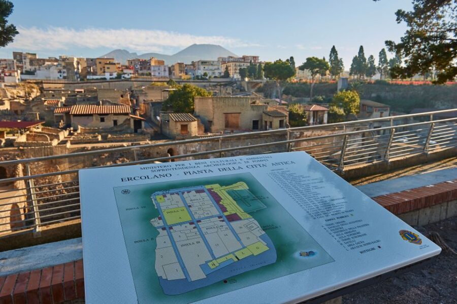 From Sorrento: Half-Day Tour of Herculaneum - Paying Entrance Fees and Starting the Tour Smoothly