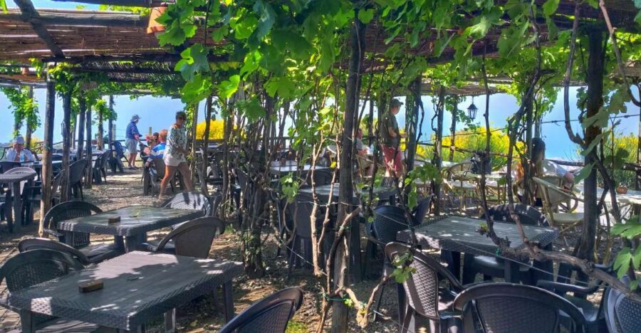 From Sorrento: Mount Vesuvius Tour with Lunch & Wine Tasting - Key highlights at a glance