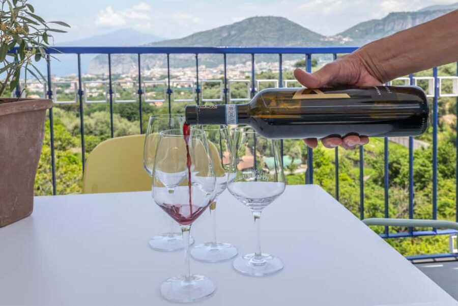 From Sorrento: Pizza-Making Class w/ View of Mount Vesuvius - Stretch, wait, and watch: the view + the timing break