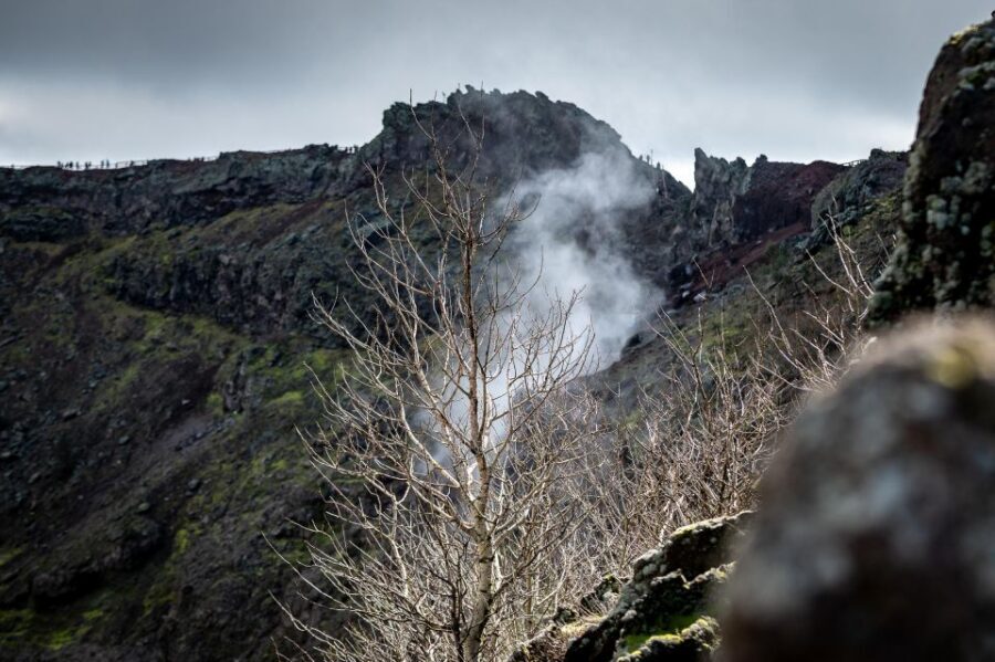 From Sorrento: Pompeii and Vesuvius Guided Tour with Lunch - Who this tour is best for (and who should think twice)