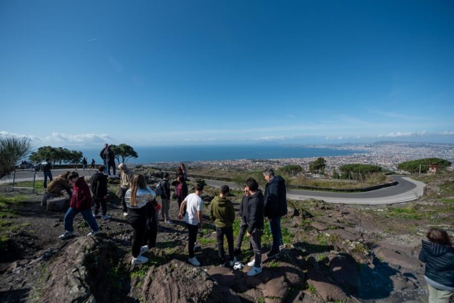 From Sorrento: Pompeii and Vesuvius Guided Tour with Lunch - The Pompeii stops that matter most on this route