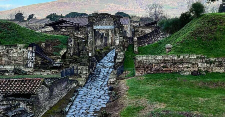 From Sorrento: Pompeii and Vesuvius Skip-the-Line Tour - Skip-the-line Pompeii: what it really changes