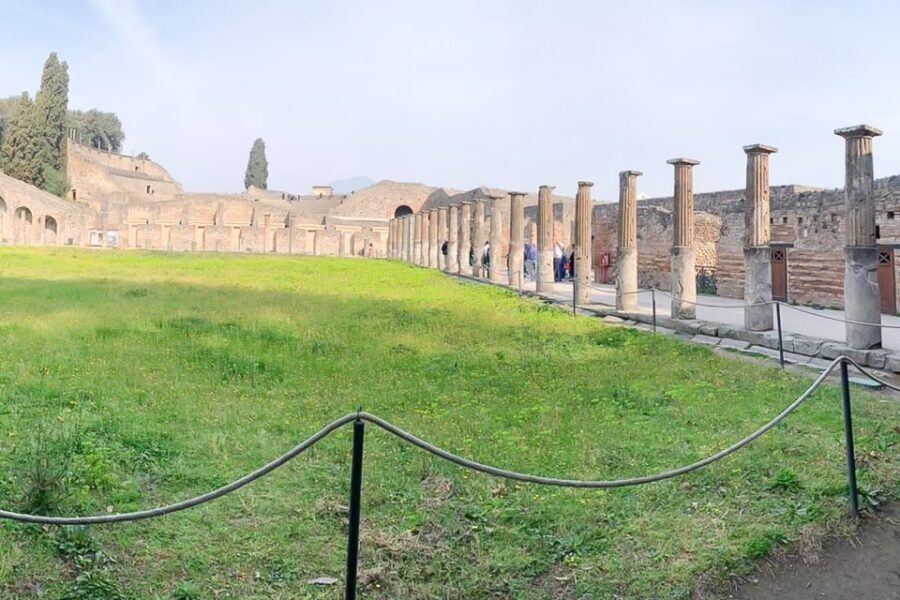 From Sorrento: Pompeii and Vesuvius Tour - Who should book this Pompeii and Vesuvius day trip