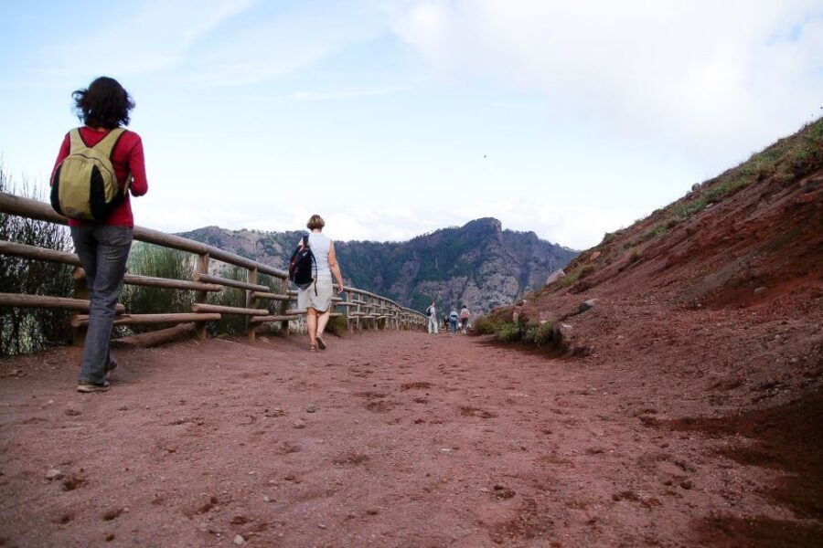 From Sorrento: Pompeii and Vesuvius Tour - Price and value: is $135.94 per person worth it?