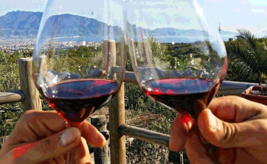 From Sorrento: Pompeii & Mt. Vesuvius Tour with Lunch & Wine - Walking, heat, and what to bring from Sorrento summer