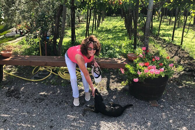 Full Day Private Tour in Pompeii, Vesuvio and Sorrento - Sorrento Tasting Walk: Olive Trees, Lemon Trees, Limoncello, and Olive Oil D.O.P.