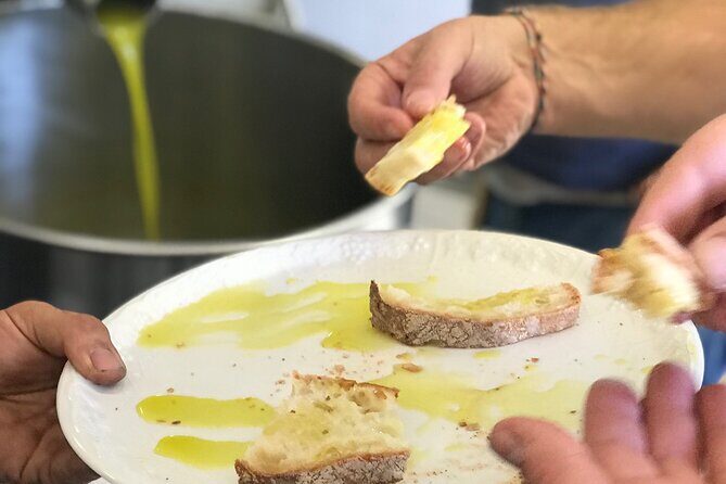 Full Day Private Tour in Pompeii, Vesuvio and Sorrento - Vesuvius National Park: A Vineyard Lunch Option and Local Wine