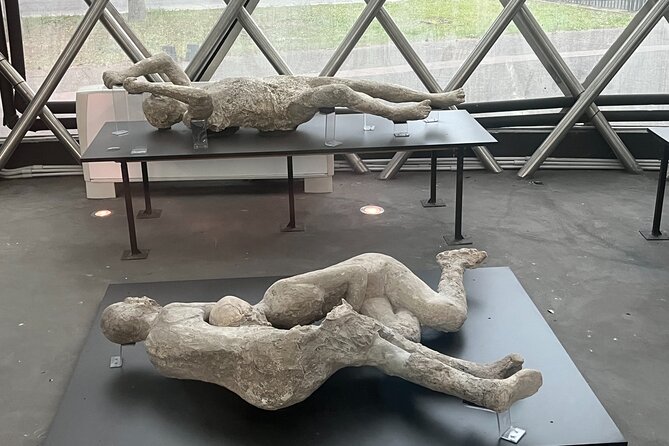 Full Day Private Tour to Pompeii, Herculaneum and Oplontis - Should You Book This Private Pompeii–Herculaneum Day?