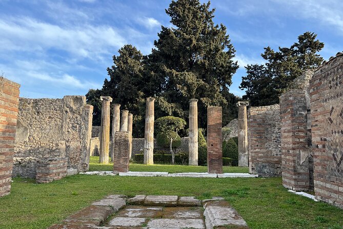 Full Day Private Tour to Pompeii, Herculaneum and Oplontis - The Lunch Break Near Pompeii (With Optional Vesuvius Wine Tasting)