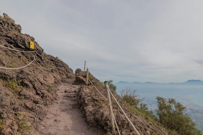 Full Day Tour to Pompeii, Vesuvius and Wine Tasting - The “free time” structure is the secret to a good day