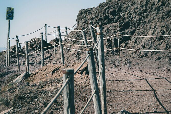 Full Day Tour to Pompeii, Vesuvius and Wine Tasting - Should you book this Pompeii, Vesuvius, and winery day?