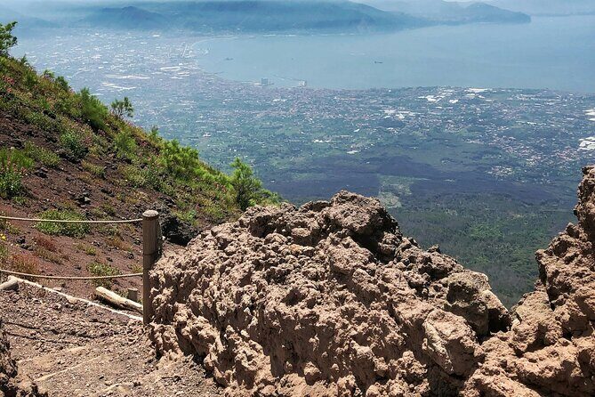 Full Day Tour to Pompeii, Vesuvius and Wine Tasting - Bosco de Medici winery stop: gardens, vineyards, and a tasting that costs extra