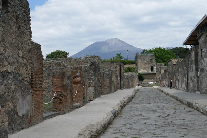 Guided Day Tour of Pompeii and Herculaneum with Light Lunch - Transport realities: comfort on the minibus, and heat on the road
