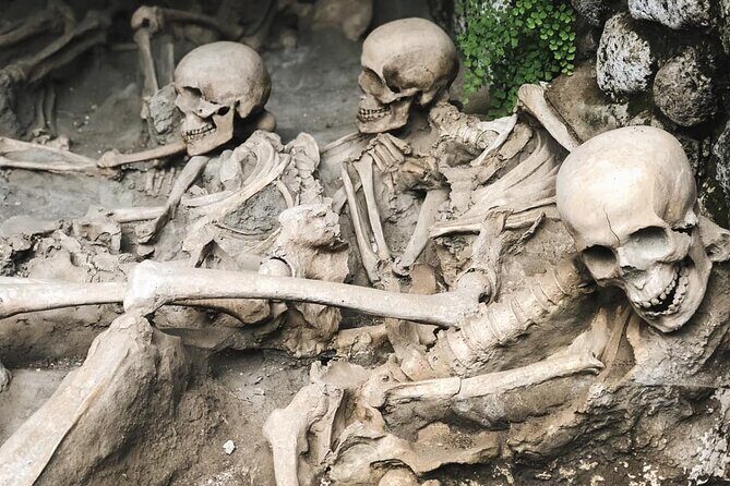 Guided Tour of Herculaneum with Lunch and Ticket Included - Sacello degli Augustali: frescoes, politics, and a grim discovery