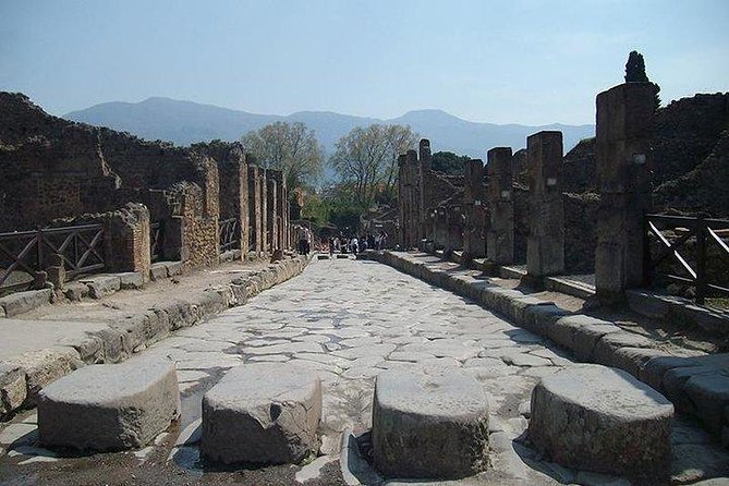 Guided Tour of Pompeii and Herculaneum with Lunch and Ticket - Sacello degli Augustali and the big houses of Herculaneum