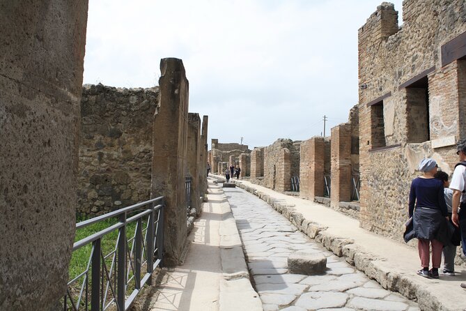Half-Day Exclusive Private Tour of Pompeii and Herculaneum - Private guide payoff: tuning the pace for families and first-timers