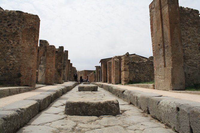 Half-Day Exclusive Private Tour of Pompeii and Herculaneum - Price, time, and value of skip-the-line private access