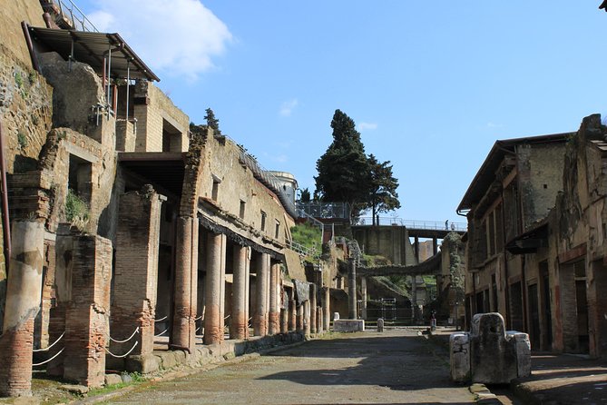 Half Day Herculaneum from Sorrento - Who This Trip Is Best For (and Who Might Want Another Option)