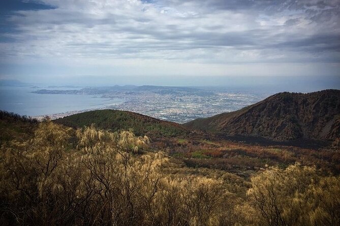 Half-Day Vesuvius Drive and Summit Hike from Naples with Lunch - Should you book this Vesuvius half-day with lunch?