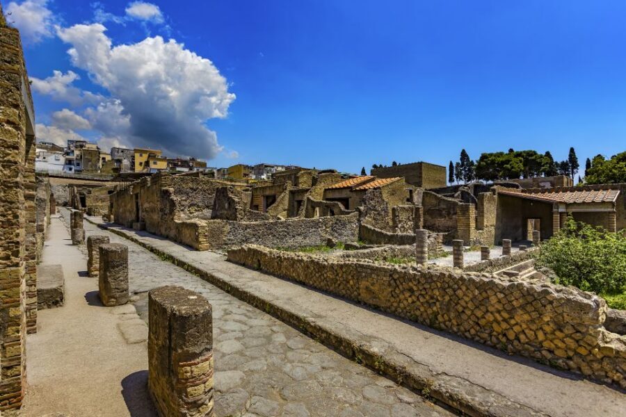 Herculaneum 2-Hour Private Guided Tour - Price and value: what $283.21 buys you