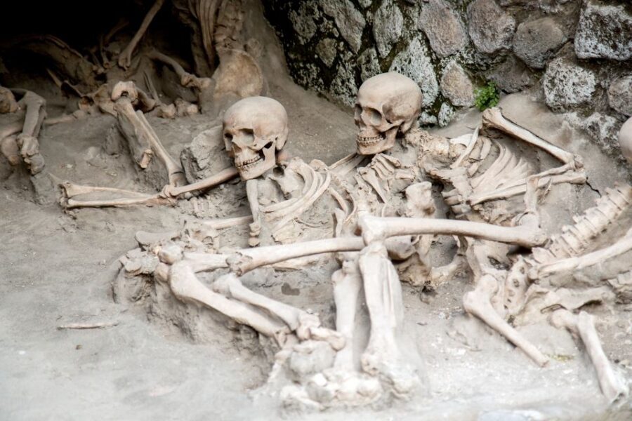 Herculaneum: 2-Hour Skip-the-Line Tour from Sorrento - Who This Tour Suits Best (and Who Might Want Something Else)