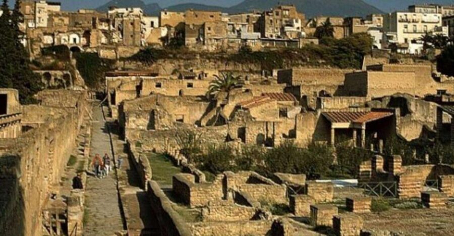 Herculaneum: 2hour Shared Guided Tour + entry tickets - Key things that matter before you book