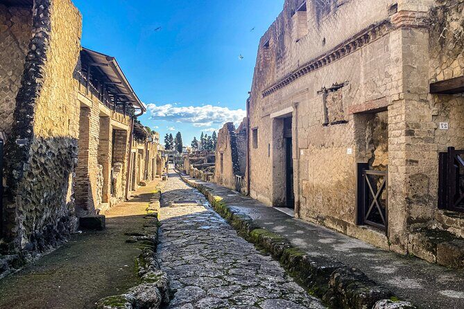 Herculaneum 3D Skip the line Walking Tour - Price and Value: What $48.16 Really Buys