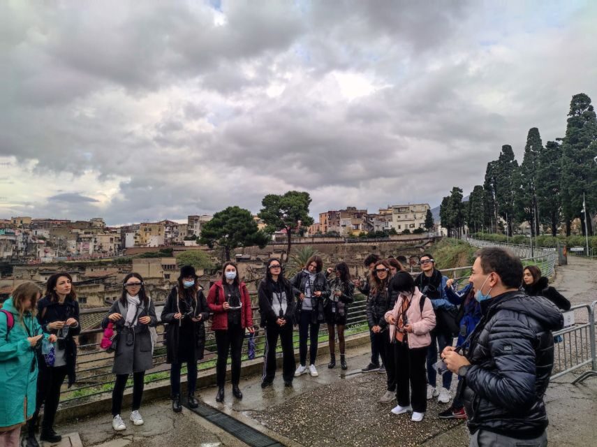 Herculaneum: 3D Walking Tour with Skip-the-Line Ticket - Price and value: is $45.55 worth it?