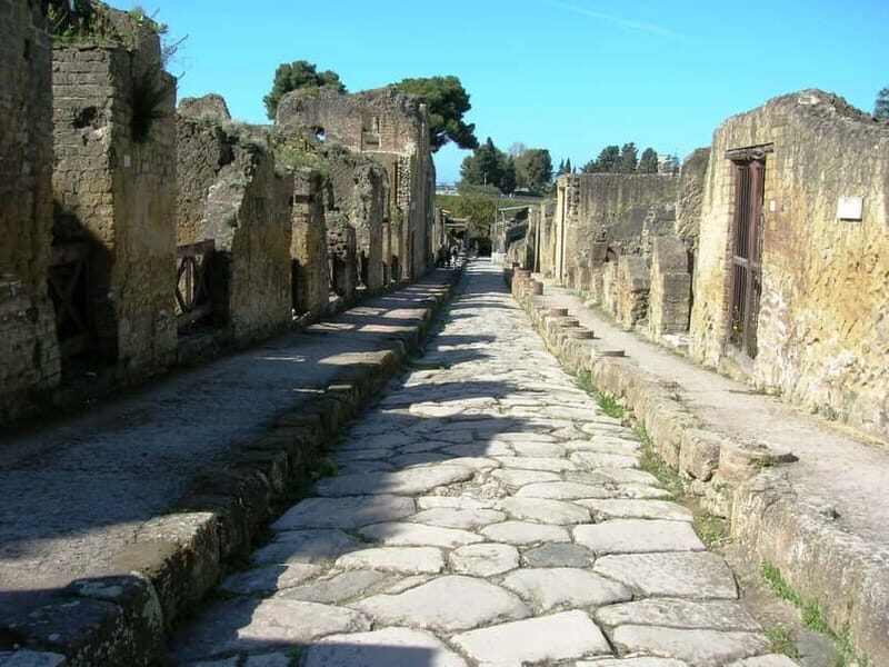 HERCULANEUM AND VESUVIUS: PRESTIGE TOUR FROM NAPLES - Mount Vesuvius: Getting Up to the Cone Without the Main Bottleneck
