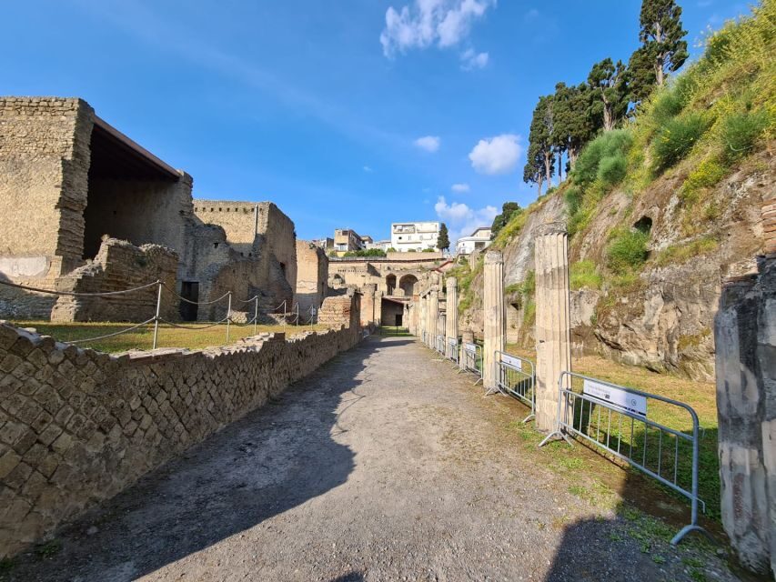 Herculaneum Archaeological Park smart Audio Tour - The audio itself: informative, sometimes technical, occasionally different voices