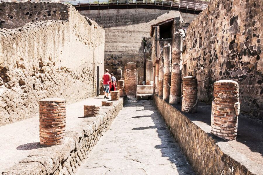 Herculaneum Guided Walking Tour with Entry Ticket - Who should book this guided Herculaneum walk?