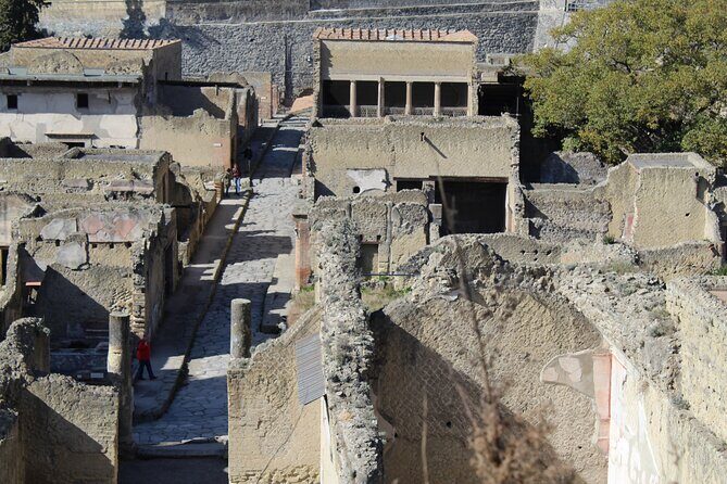 Herculaneum Private Guided Tour Led by a Local Top-rated Guide - All inclusive - Villas and mosaics: House of Neptune and Amphitrite