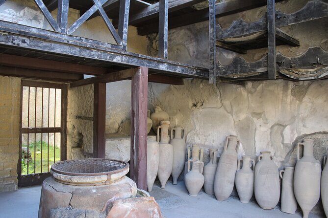 Herculaneum Private Guided Tour Led by a Local Top-rated Guide - All inclusive - Why the guides make the difference (and not just the ruins)